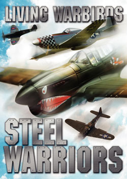 Living Warbirds: Steel Warriors DVD - Warbirds DVD, P-51 Mustang, P-40 Warhawk, CJ6A, F4U Corsair, Spitfire, Warbirds Video, Aircraft Video, Airplane Video, Plane Video, Airplane DVD, Planes DVD
